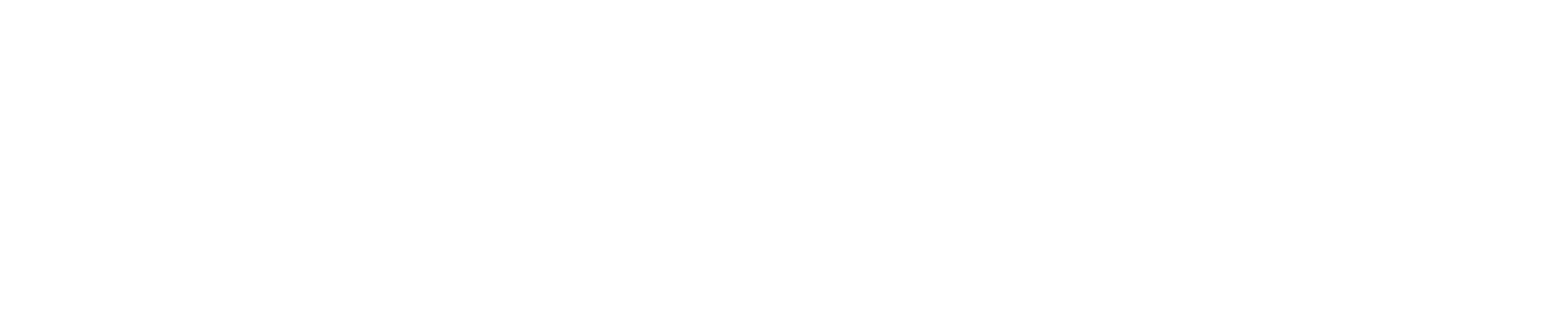 Endpoint White Logo